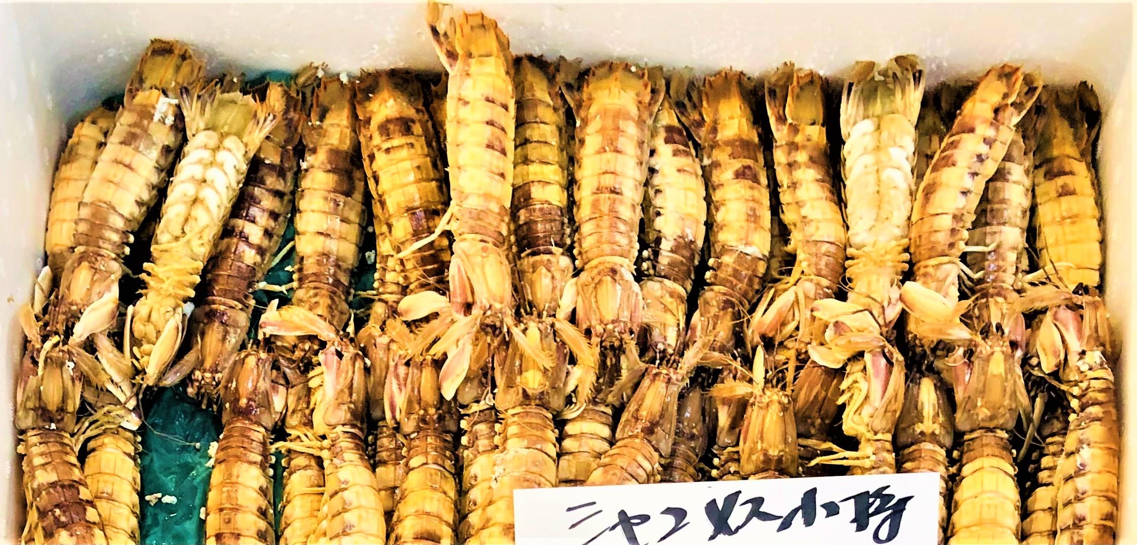 シャコシーフーズ
