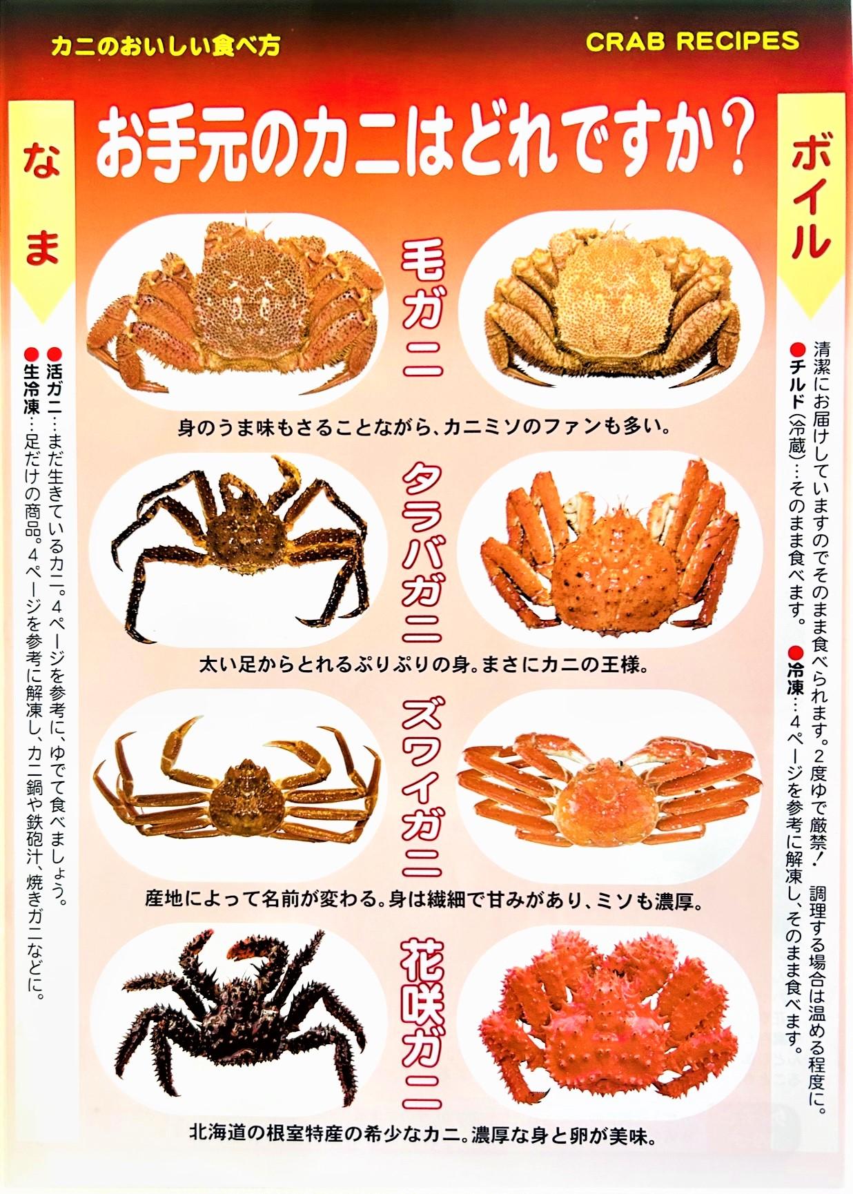 カニパンフレット | マルイチ水産