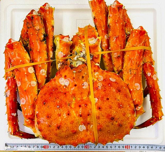 浜茹タラバ姿2.6