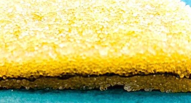 子持ち昆布厚み2ｃｍ