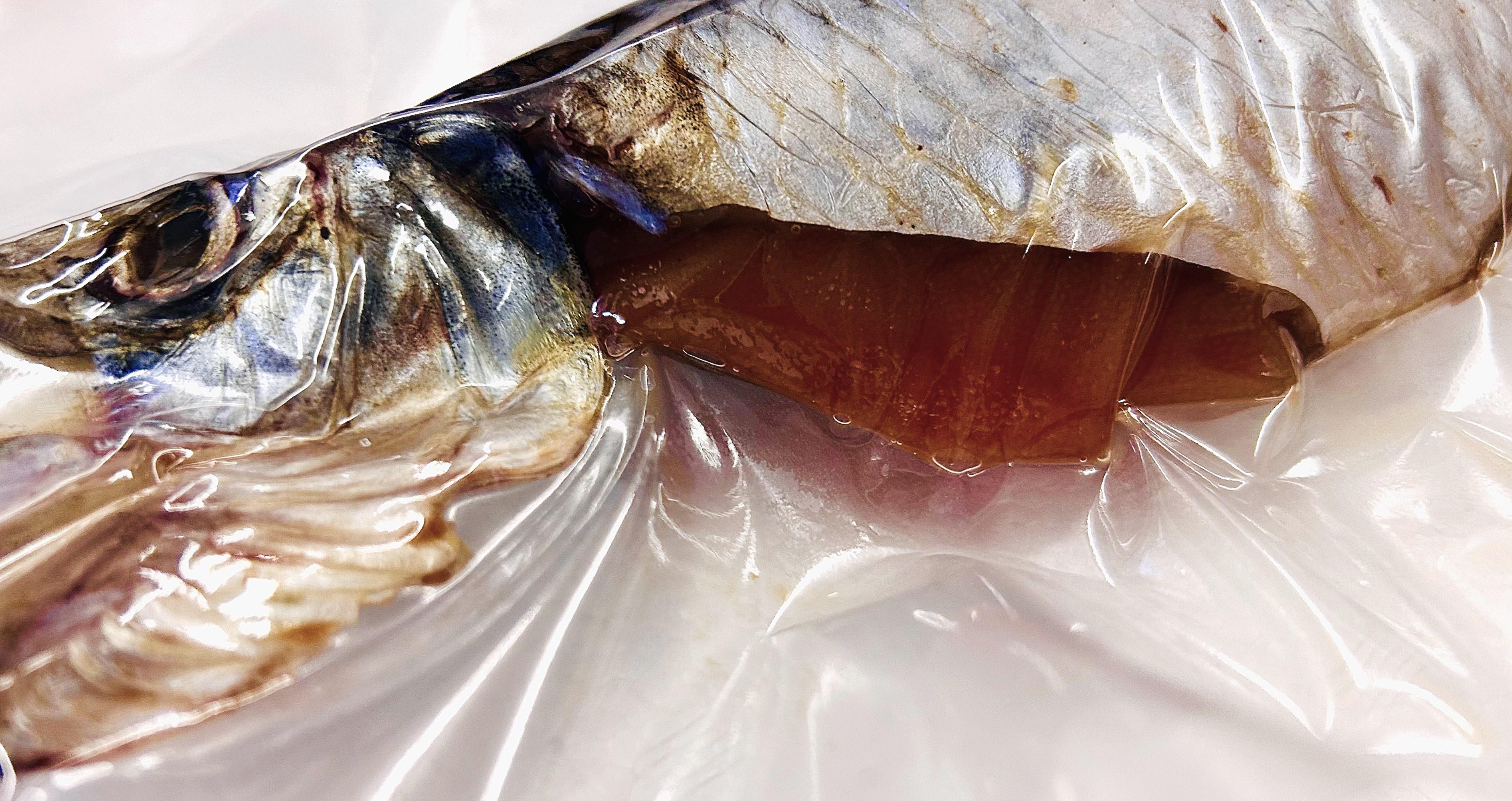 子持ちにしん丸干し真空アップ