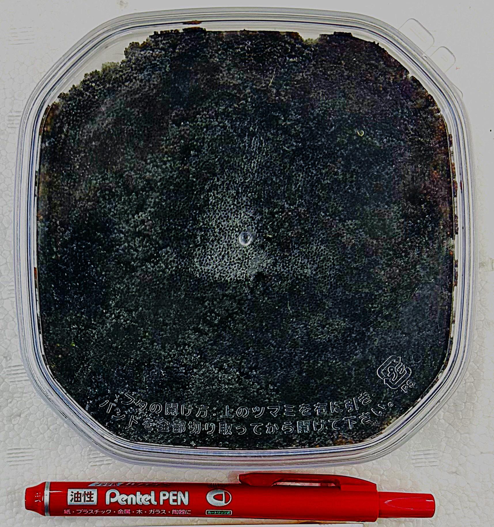 ��ラバ外子250ｇ2800円