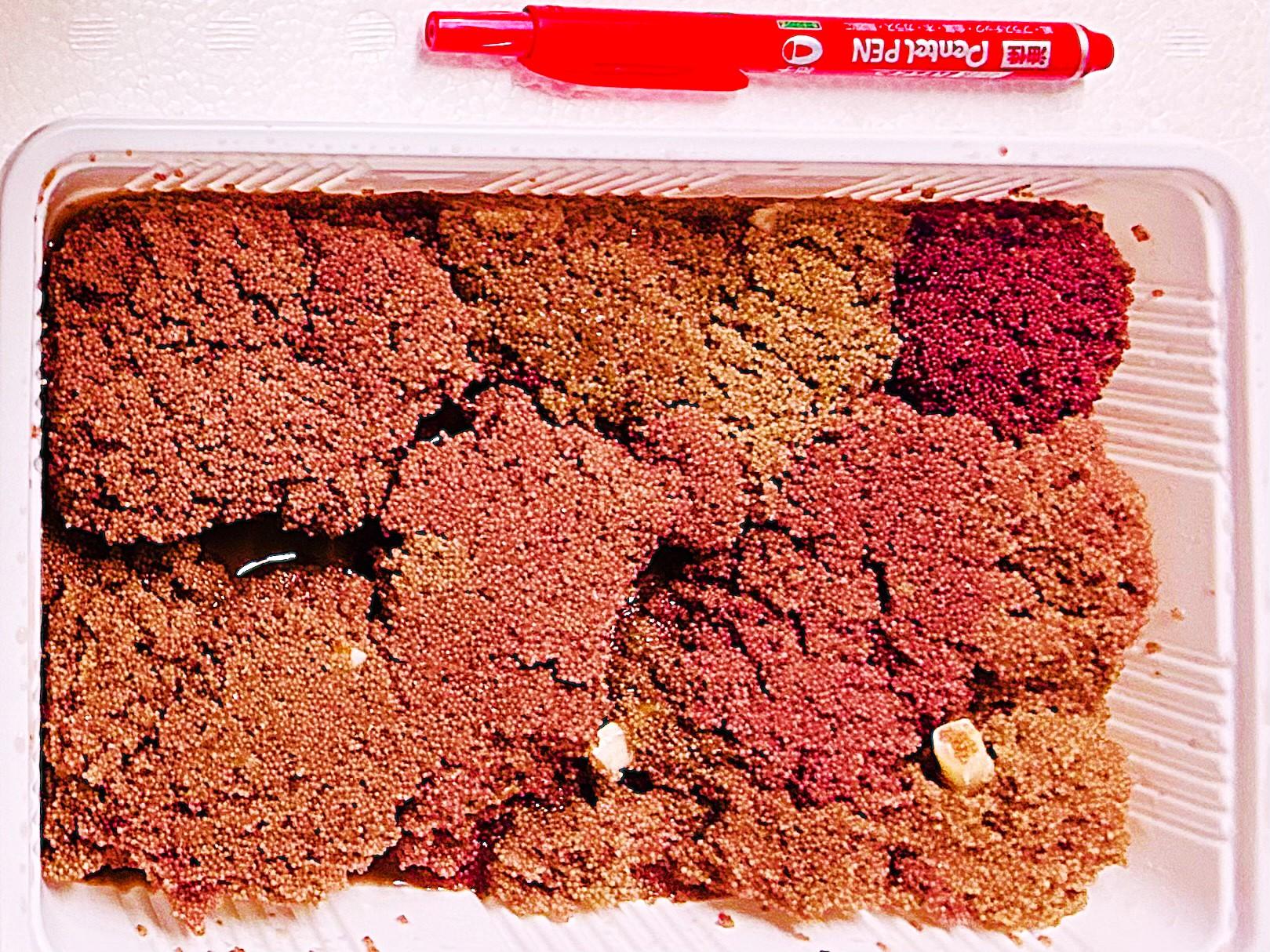 ��ラバ外子茶