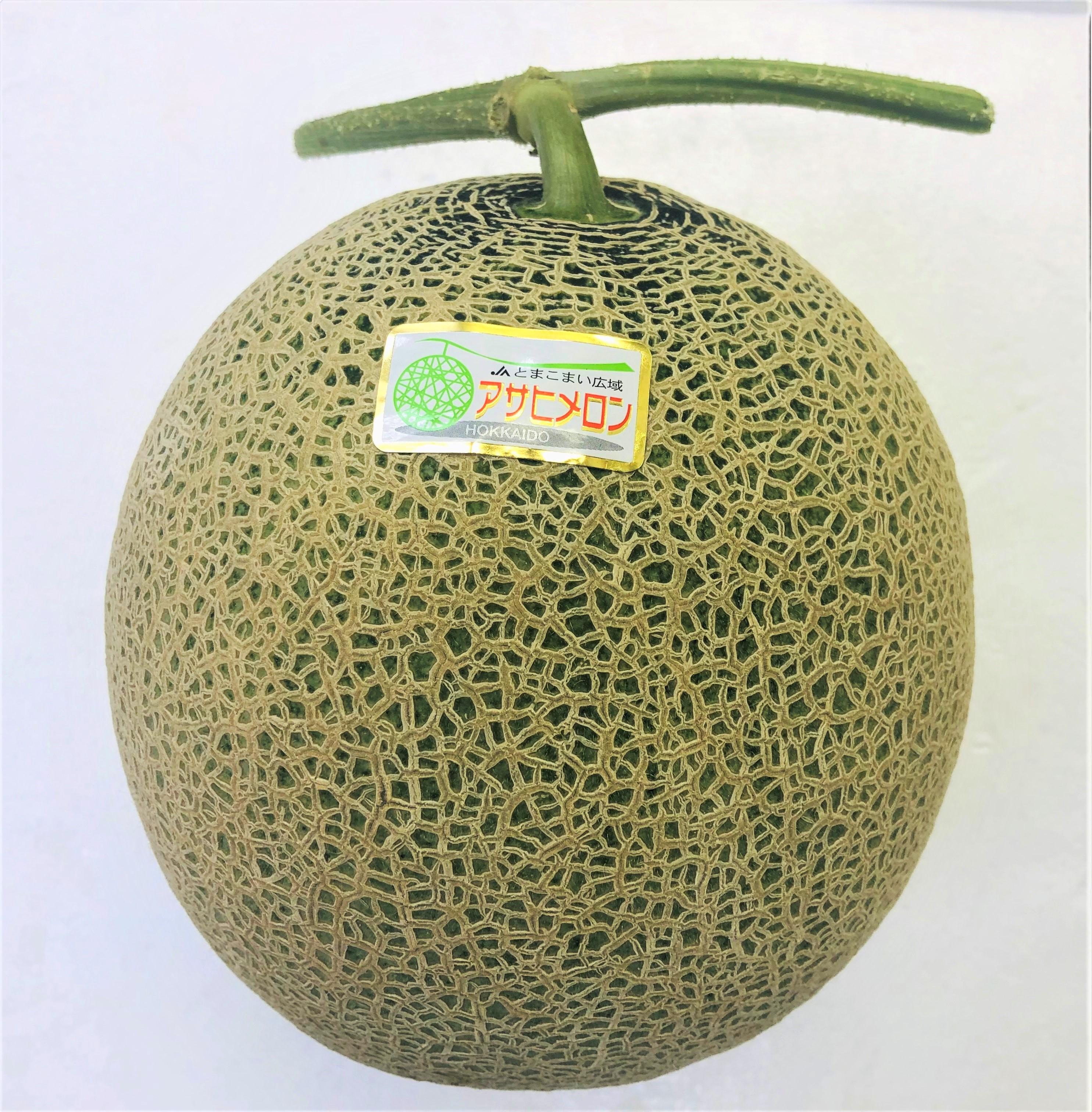 サヒメロン姿