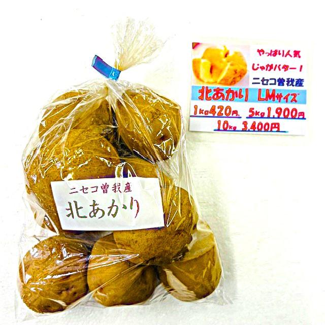 ニセコ曽我北あかり「M」10㎏(送料1,000円上乗せ) | マルイチ水産