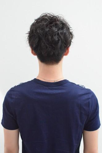 046f08e563a893d53aa604730da6b63d-330x495