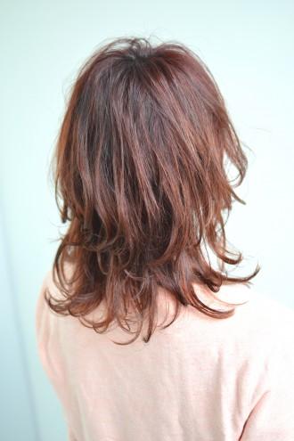 fb95394d91bcbc2233b5f401abd19fca-330x495