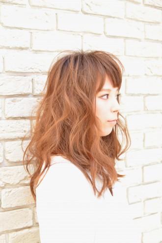 763fa6e78fbc4f4322b10c160faec411-330x495